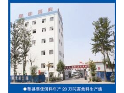 Xin Jia 300,000 tons of feed livestock and poultry feed line